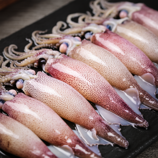 통오징어 국내산 손질 오징어 1kg 냉동 오징어숙회 오징어찜용, 1개