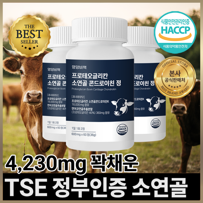 영양비책 프로테오글리칸 소연골 콘드로이친 정, 3개, 60정