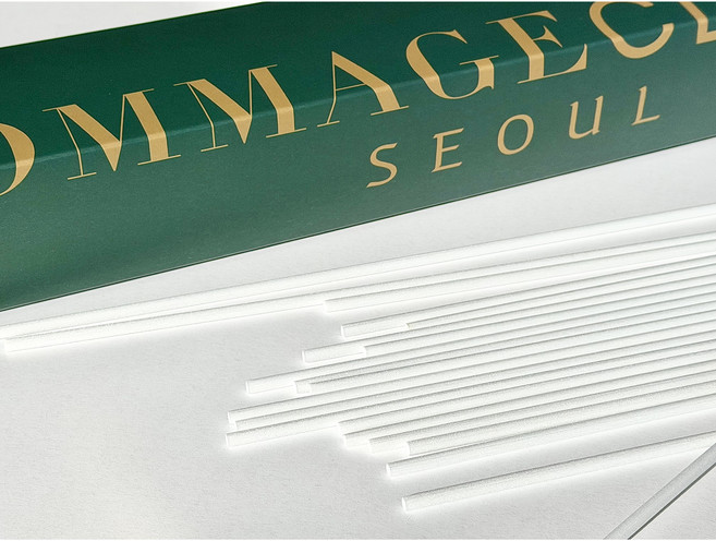 60cm 대형 디퓨저 스틱 롱 리드스틱 리필 교체용 거실 반려동물 공간 추천, 30개입, 1개, 화이트