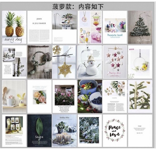 GXS拍照道具 攝影道具 含封面封底12張24面 街拍 拍照雜誌背景書, 1個, D04菠蘿款