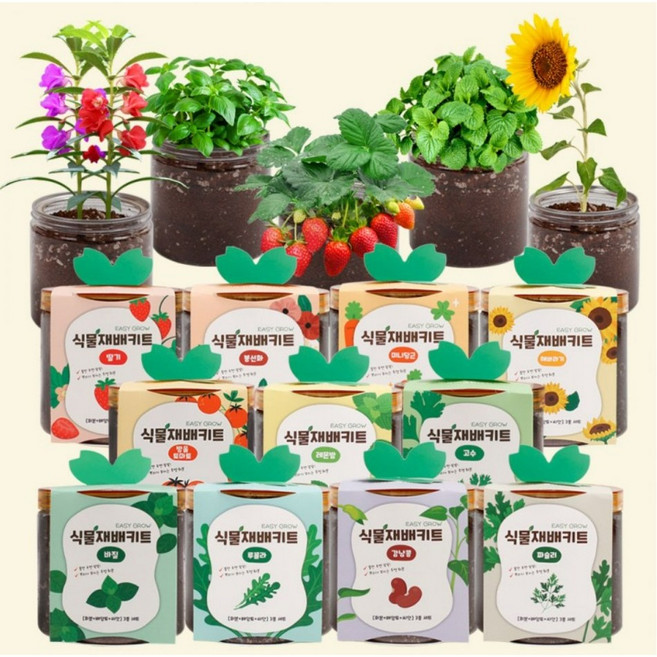 [1+1] 이지그로우 식물재배키트 방울토마토 딸기 고수 바질 루꼴라 강남콩 레몬밤 미니당근 파슬리 키우기 미니가든, [1+1]딸기