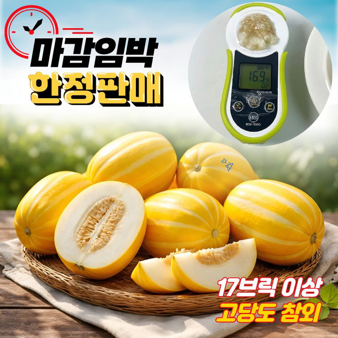 [선착순 한정] 17브릭이상 성주참외 가정용, 1박스, 혼합 5kg