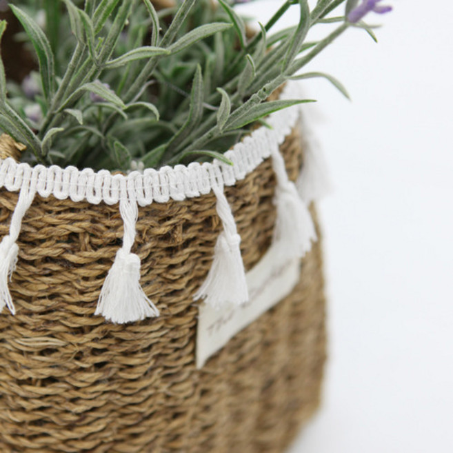 패브릭샵 태슬레이스 베이스 3컬러, 화이트, 1개