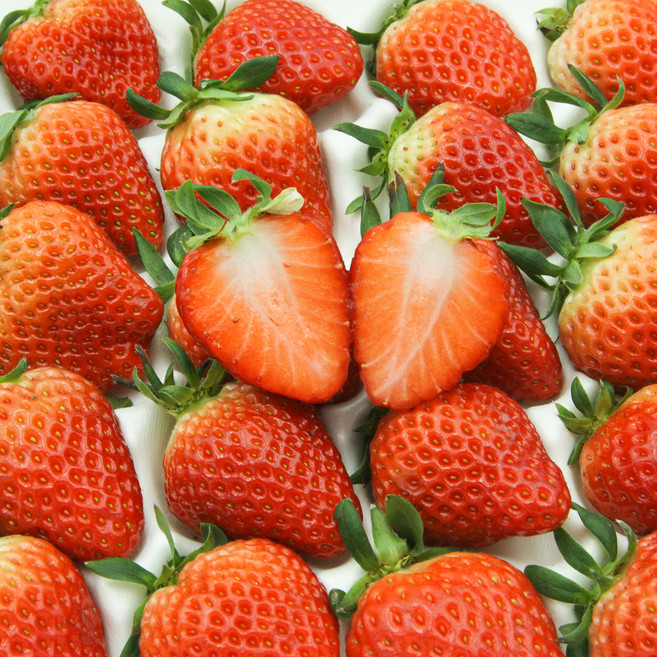 [오픈최저가] 산지직송 논산 고당도 설향딸기 당일수확 프리미엄, 1박스, 750g(35-42구 한입과)