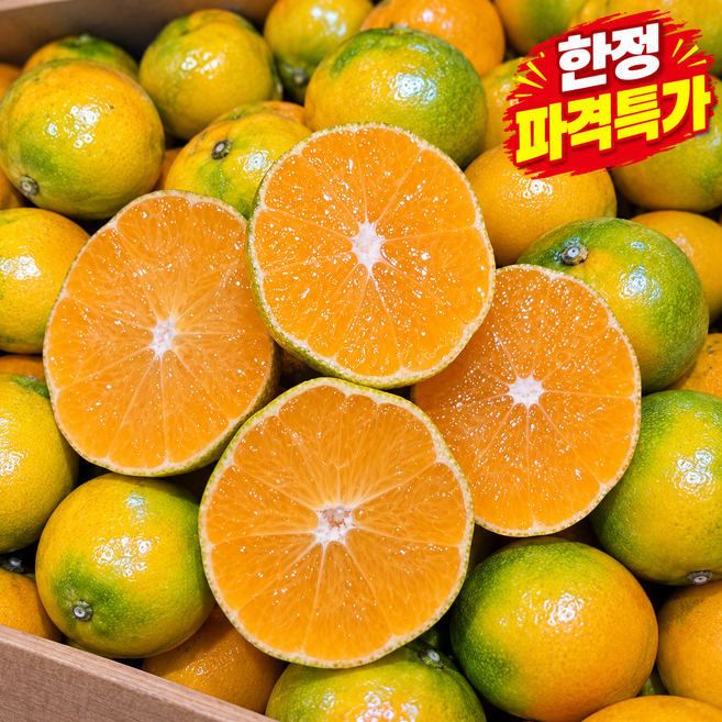 [오픈특가] 제주 햇귤 극조생 고당도 감귤 산지직송, 1박스, 5kg