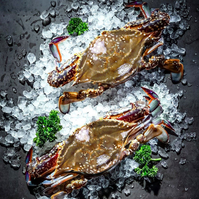 [당일조업] 활 암 꽃게 꽉 찬 수율 절정의 싱싱함 서해안 생물 활꽃게, 1세트, 활 암꽃게 5kg(20~30미)