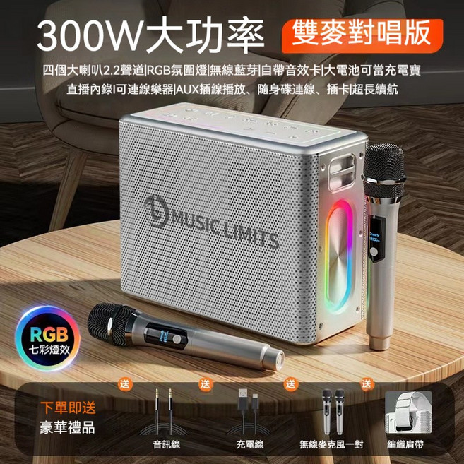 MUSIC LEGEND 300W 藍牙音響 雙麥克風 KTV 音響, 尊貴銀【V60-300W大功率-雙話筒】