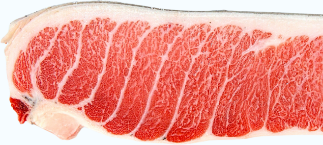 [VIP참치] 마블링 가득 참다랑어 가마도로 참치회 대뱃살 통참치, 1개, 가마도로 750~800g