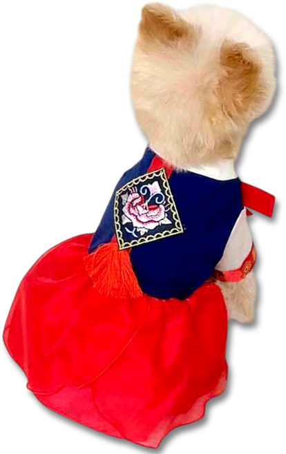 태슬 강아지한복 고양이한복, 원피스(레드), 1개