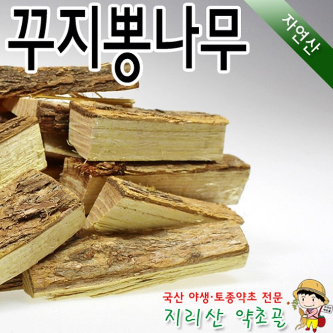 100%국내산 자연산 구지뽕나무 500g 꾸지뽕 구찌뽕 꾸찌뽕 차 효능 효과 말린 건조 야생, 1개