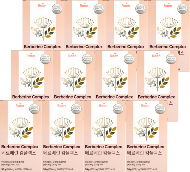 당비움가루 베르베린가루 식약청인증 바나바잎 여주추출물 컴플렉스, 12개, 60정