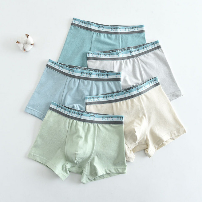 ETX JUST 男童內褲 奶油藍5件組