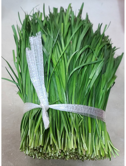 당일수확 국내산 노지부추 포항 정구지, 1kg, 1개