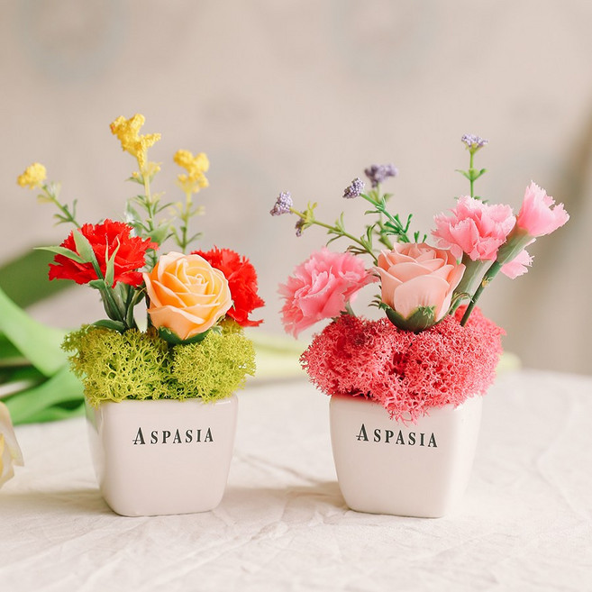 카네이션 비누꽃 스칸디아모스 화분 2개 습기제거 공기정화, 레드+핑크