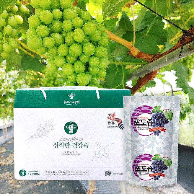 정직한 샤인머스켓즙 100ml 50포 100% 샤인머스켓 생즙 착즙주스, 1개