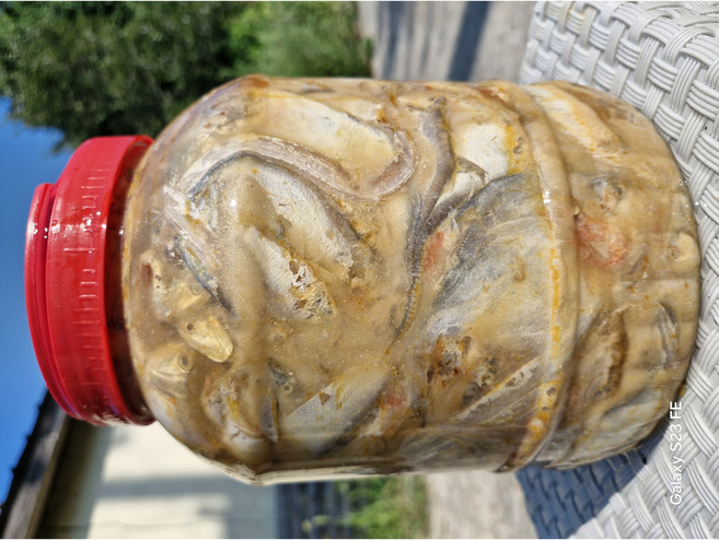 광천토굴숙성 멸치잡젓5kg 다림용, 1개, 5kg