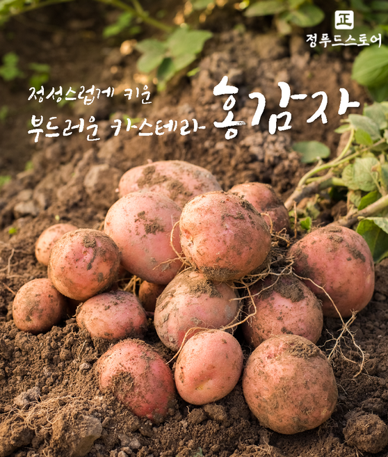 2025 햇 홍감자감자 조림-소, 1박스, 홍감자 조림-소 5kg