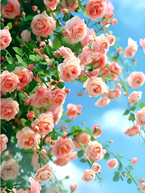 앤드 DIY 보석십자수 액자형 보석 십자수 세트 30X40cm, N045, 1세트