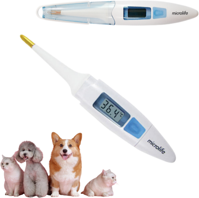 [반려동물] 스틱형 10측정 강아지 고양이 직장 항문 체온계 (생활방수/플레시블팁) 마이크로라이프 10초측정 1개+알콜솜20매, 1세트