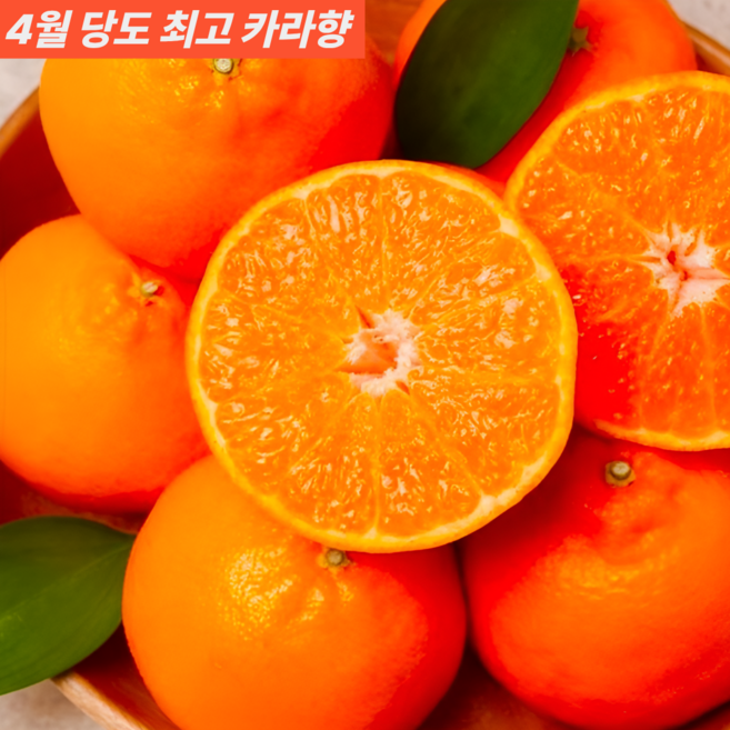 [재구매율 1위] 15brix 초고당도 제주 산지직송 조생 하우스 감귤, 1개, 2kg