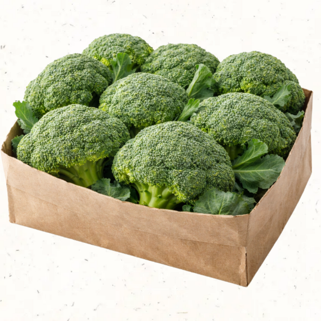 브로콜리 조각 손질 브로콜리 신선채소 컷팅 브로콜리 샐러드용 간편요리, 조각브로콜리 600g