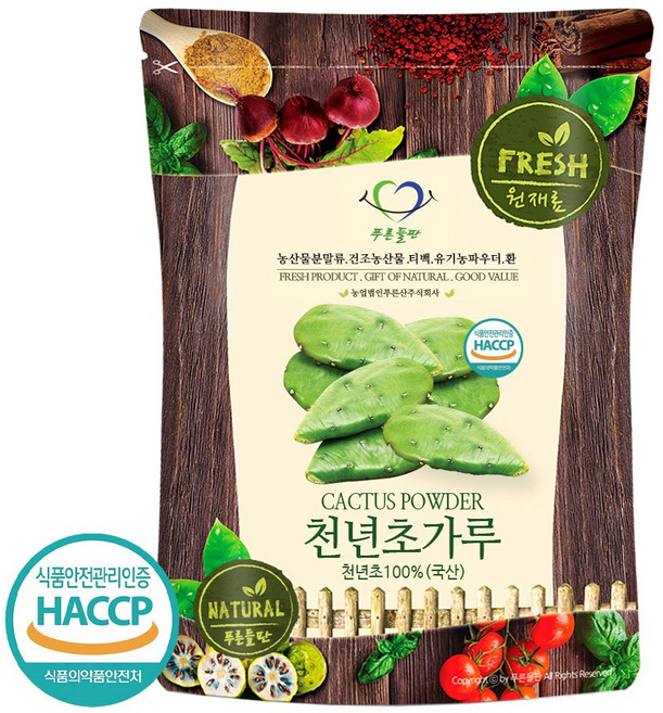 푸른들판 국내산 천년초 선인장 가루 분말 100% 손바닥선인장 줄기 HACCP 인증, 500g, 1개