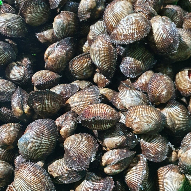 선주직송 벌교 피꼬막 특품, 1박스, 생물 5kg (85미 내외)