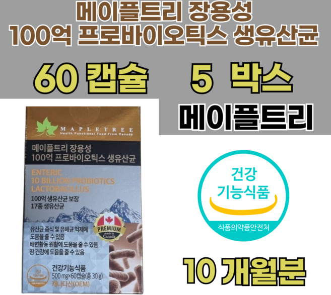메이플트리 100억 프로바이오틱스 생유산균 500mg 60캡슐 5박스, 5개, 60회분