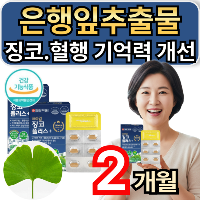 기억력 혈행 개선 은행잎추출물 플라보놀배당체함유 일양징코 2박스 60정, 1개