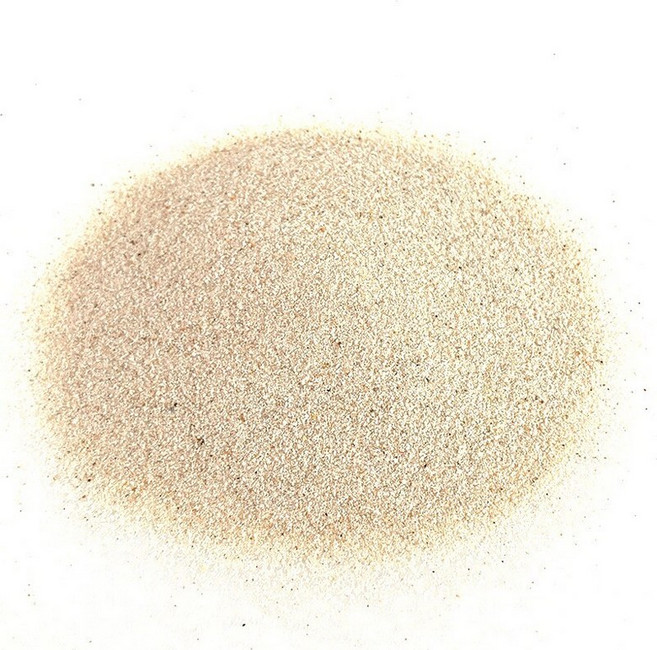 그릿업 코리도라스 바닥재 샌드 청소물고기 팬더코리도라스 모래 장식용 수족관 고운, 1개, 3_나일강 모래 2.5kg 0.5mm