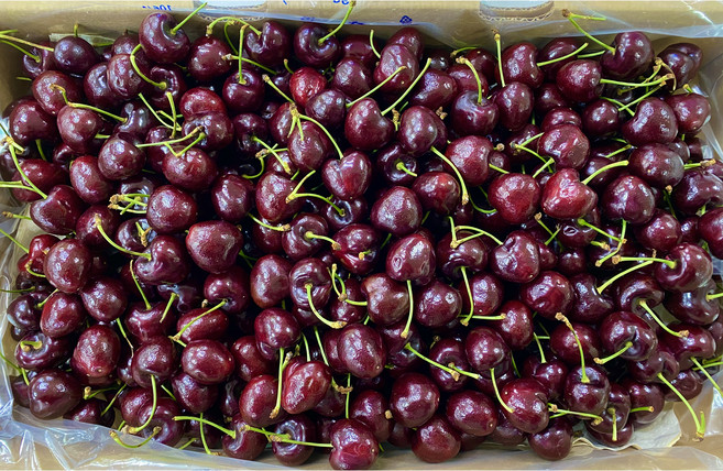 프리미엄 체리 생체리 미국 칠레 2.5kg 5kg 9row 9.5row, 1개, 2.5kg 반박스
