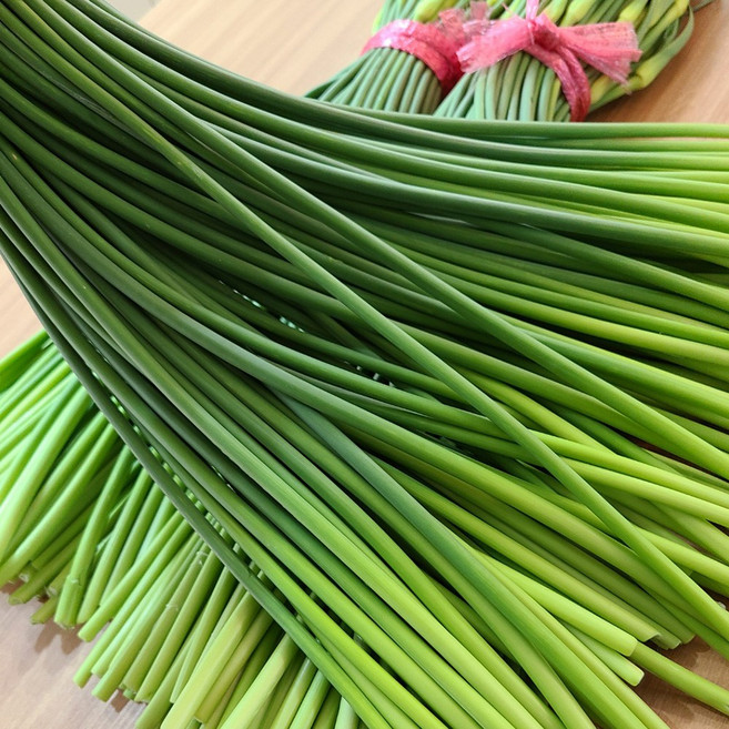 해풍맞은 남해 햇 마늘쫑 1kg 특품 상품 중품, 1개