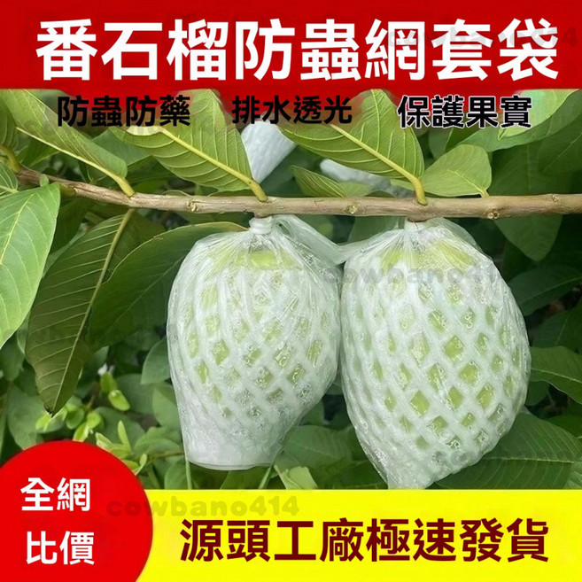 番石榴套袋 芭樂網套 防蟲水果保護袋, 1個, 50套袋,PE背心膠袋+方型孔泡沫網=特厚款一體袋