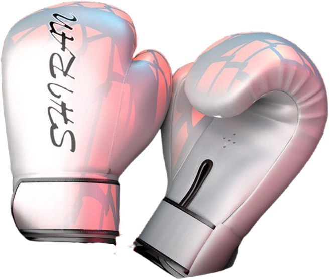 종합격투기 글러브10온스 파워 트레이닝 복싱 글러브 양쪽세트, 흰색, 1개