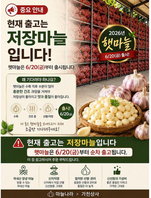 "출고 6/20일." 2026년 햇마늘 시작 !! 건조. 탈피. 직송, 1개, 3kg