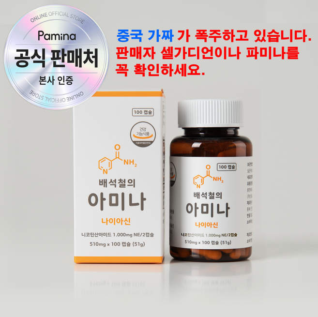 배석철의 아미나 고용량 비타민B3 미국산 나이아신아마이드 500mg, 1개, 100정
