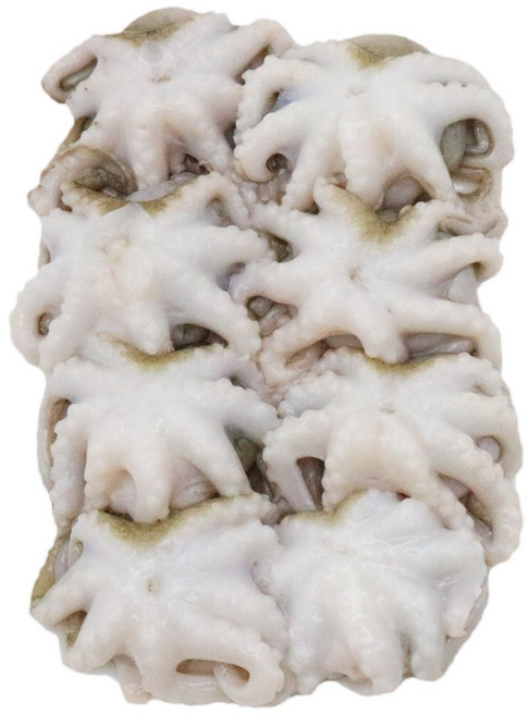 냉동쭈꾸미 손질 2.4kg(200g*12팩), 12개, 8미(200g)