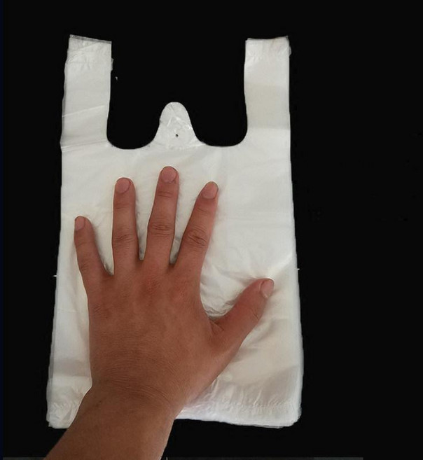 써니글로벌 검정비닐봉지 분리수거 대변봉투 대용량 업소용, 도톰형, 화이트 17x28(300 개), 1L