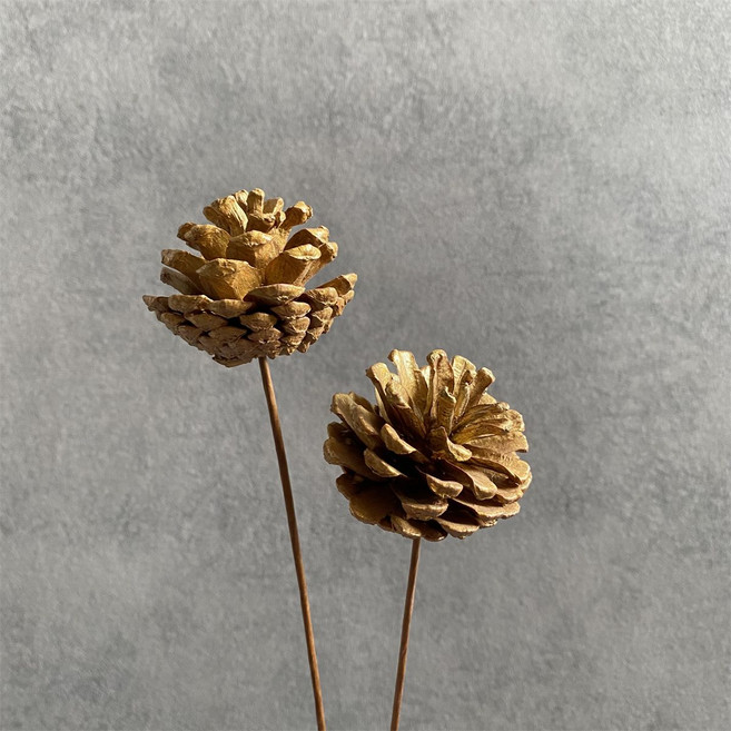 天然松果干花乾果 橡果蓮蓬乾燥花 乾燥花飾品, 1個, 金色松果3支