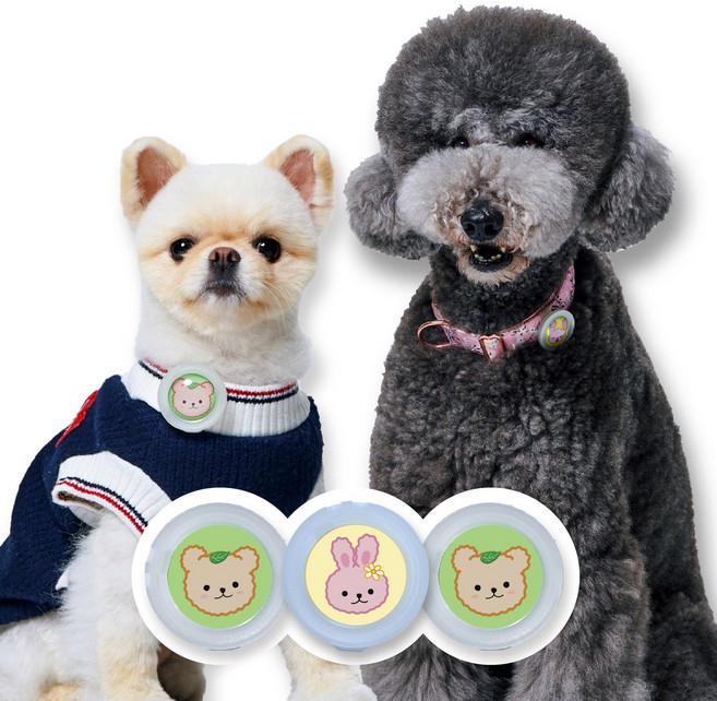 강아지 진드기 퇴치 산책 클립3종세트, 베어+래빗+베어, 3ml, 1세트