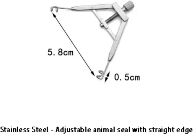 안과용 눈꺼풀 스프레더 눈꺼풀 오프너 안과 미용 장비 쌍꺼풀 성형 수술 도구, 닦았 크롬