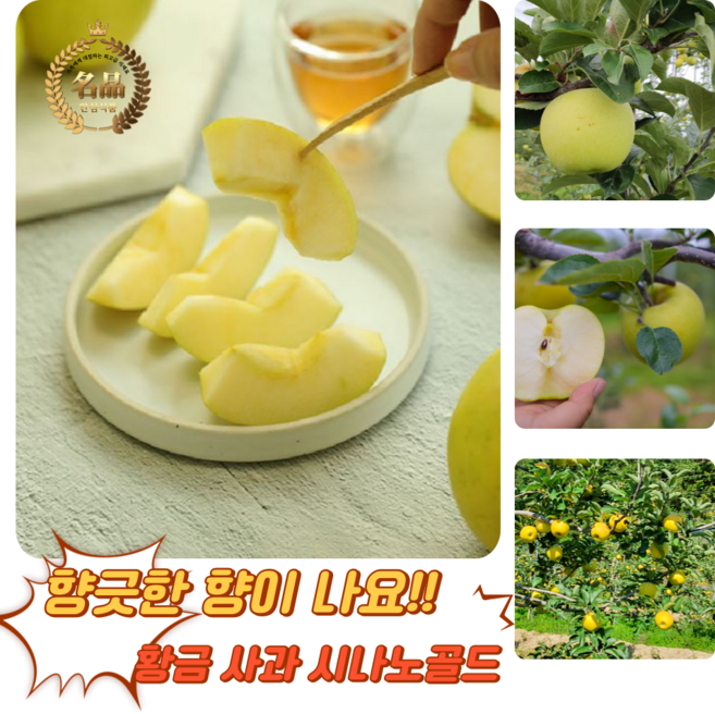 [굿피플] 시나노골드사과 황금사과 골드사과 노란사과, 1박스, 시나노골드(가정용) 3kg 소과