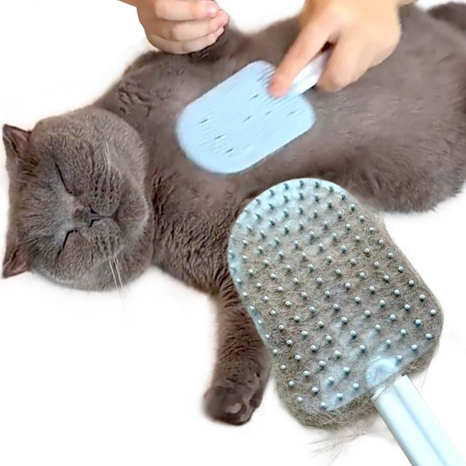 견행묘행 고양이 빗 반려동물 털제거 브러쉬 그루밍브러쉬, 1개, 노랑