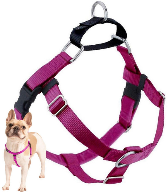 2 Hounds Design Freedom No Pull Dog Harness Adjustable Harness Easy Walking & Comfortable Contro, 1개, 산딸기