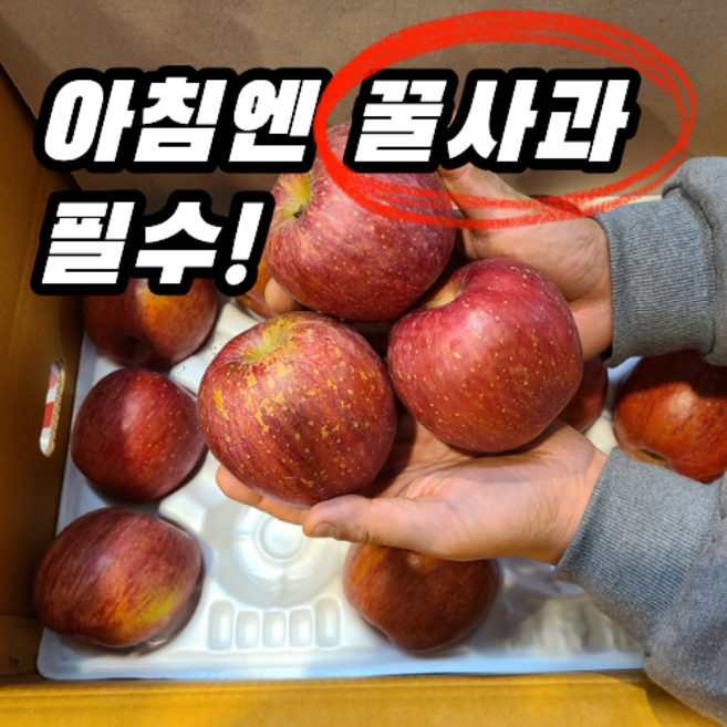 하디팜 진심과일 고당도 실속형 가정용 부사사과, 1박스, 중대과 2kg