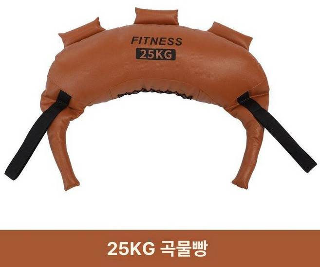 불가리안백 스쿼트백 모래주머니 5키로 중량 밴드 크로스핏, 1kg, 25kg A