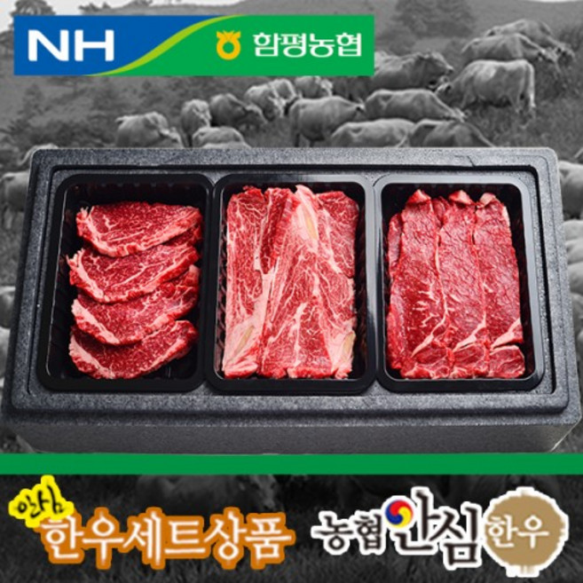 함평농협 농협안심한우 1등급 암소한우 선물세트, 1호 등심+안심+채끝, 1세트