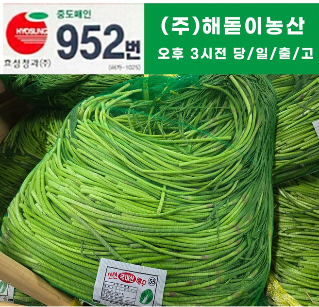 해돋이 농산 국내산 햇 마늘쫑(바라) 1kg 2kg 3kg 5kg 10kg(상세페이지꼭참조), 1개