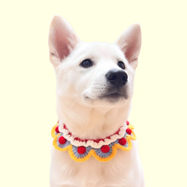 큐앤캐롯 강아지 크리스마스 케이프 대형견 스카프 니트, 1개, 블루