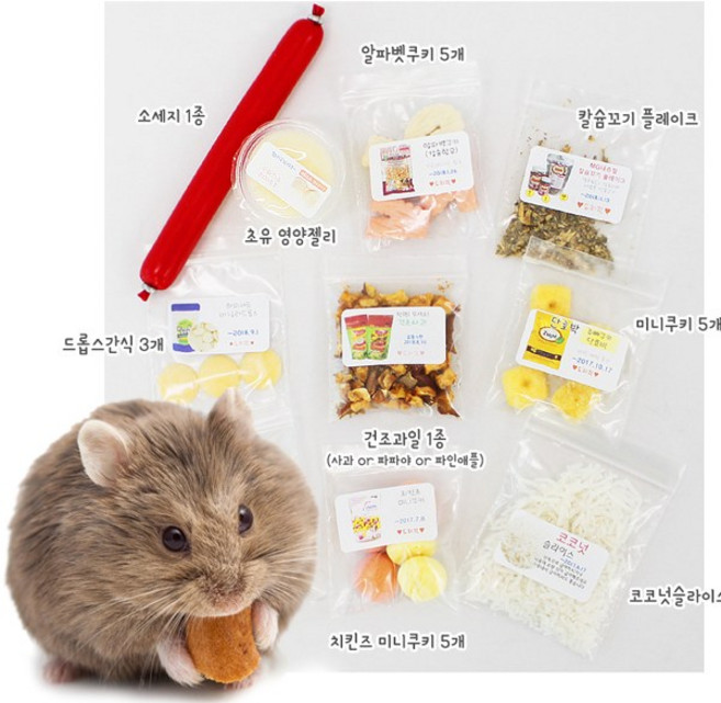 도치퀸 기호성 테스트 간식10종. 고슴도치 햄스터 간식/밀웜/영양제, 1세트, 단품